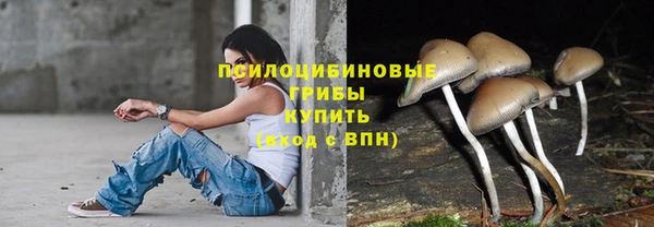 не бодяженный Верея