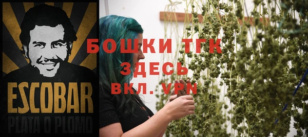 ПСИЛОЦИБИНОВЫЕ ГРИБЫ Верхний Тагил
