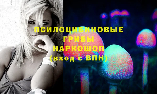 ПСИЛОЦИБИНОВЫЕ ГРИБЫ Верхний Тагил